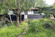 Charming Woods Hideaway for Sale Near Sea and City – Ideal Location news-05092024-151656
