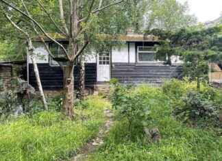 Charming Woods Hideaway for Sale Near Sea and City – Ideal Location news-05092024-151656
