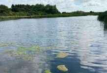 Rare Chance to Own Beautiful Kent Town Slice for £70k news-05092024-151749