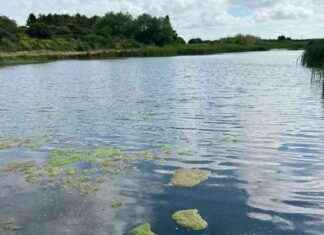 Rare Chance to Own Beautiful Kent Town Slice for £70k news-05092024-151749