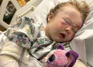 Four-Year-Old Girl Undergoes Surgery After Being Hit on Essex Zebra Crossing news-22092024-220823