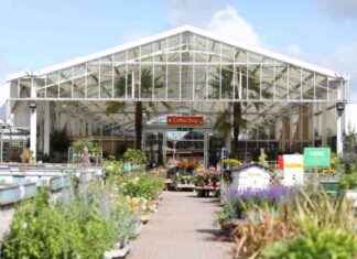 Best Garden Centre in Essex for Afternoon Tea: Top 10 Spots to Visit news-06102024-100733