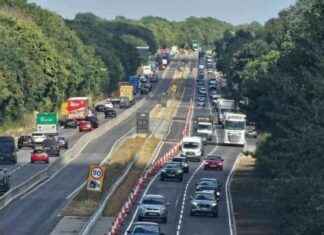 A12 Overnight Closures: National Highways Issues Apology news-09102024-045554