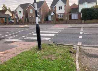 Firefighters Rescue Woman from Car Crash on Colchester Road news-14102024-210052