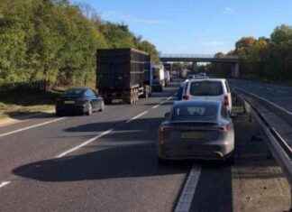 Fatal Car Crash on A12: 58-Year-Old Man Dies, 21-Year-Old Driver Arrested news-22102024-233256