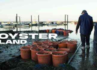 Celebrating Mersea’s Oyster Heritage: A Documentary by Colchester Filmmaker news-24102024-055856