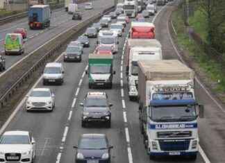 Weekend Road Closures: M25, Dartford Crossing, and A12 Shutdown in Essex news-25102024-121007