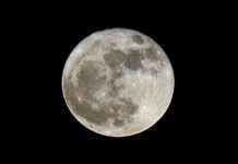 November Skywatch: Meteor Shower and SpaceX Satellites Display news-01112024-185214