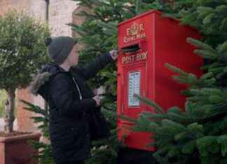 Colchester Zoo Christmas Ad: Exclusive Sneak Peek of Festive Commercial news-03112024-083631