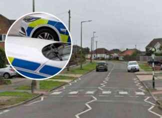 Teen girl injured in hit and run at Essex zebra crossing: Urgent hospital care needed news-15112024-165601