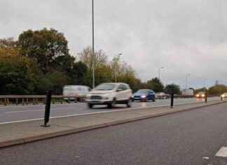 Reckless A12 Driver Rebuked by Judge for Childish Behavior news-17112024-124606