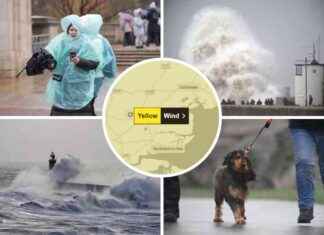 Storm Darragh Live Updates: Essex Weather Alerts & News storm-darragh-live-updates-essex-weather-alerts-news