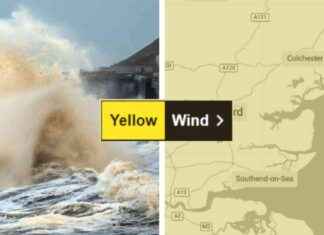 Storm Darragh Live Updates: Essex Yellow Weather Warning Impacts storm-darragh-live-updates-essex-yellow-weather-warning-mpacts