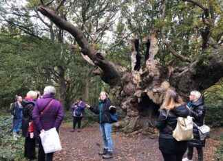 Essex Witch Trials: Historian’s Insights on Legal System’s Impact essex-witch-trials-historians-nsights-on-legal-systems-mpact