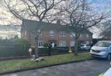 Police Investigation: Live Updates on Colchester House Incident police-nvestigation-live-updates-on-colchester-house-ncident