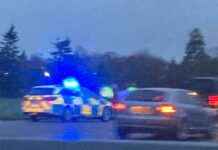 Teenager Arrested for Theft After Driving on Wrong Side of M11 teenager-arrested-for-theft-after-driving-on-wrong-side-of-m11