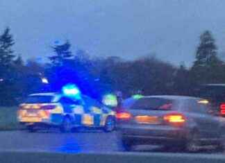 Teenager Arrested for Theft After Driving on Wrong Side of M11 teenager-arrested-for-theft-after-driving-on-wrong-side-of-m11