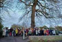 Wivenhoe Council and Campaigners Grant Trees More Time wivenhoe-council-and-campaigners-grant-trees-more-time