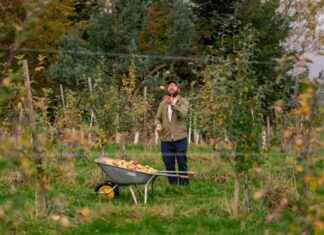 Scotland’s Cider Revival Showcased at Pressed Festival 2025 scotlands-cider-revival-showcased-at-pressed-festival-2025
