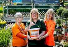 Ultimate Lawn Care Event at Dobbies Perth – Don’t Miss Out! ultimate-lawn-care-event-at-dobbies-perth-dont-miss-out