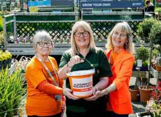 Ultimate Lawn Care Event at Dobbies Perth – Don’t Miss Out! ultimate-lawn-care-event-at-dobbies-perth-dont-miss-out