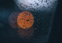 Perth Rainfall Patterns: Discover What Shapes Our Weather Trends