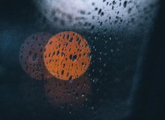 Perth Rainfall Patterns: Discover What Shapes Our Weather Trends