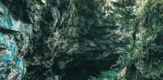 Perth Map: Discover Hidden Gems and Must-See Attractions Today
