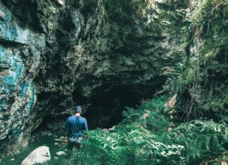 Perth Locanto: Discover Hidden Deals and Unmissable Local Finds