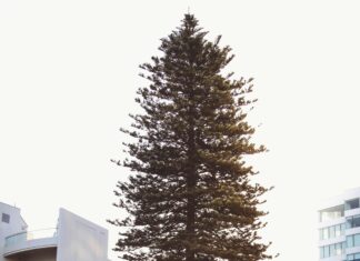 Fraser Suites Perth: Why Choose These Luxury Apartments Today?