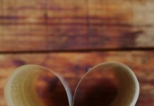 South Perth Library Secrets: Why Locals Absolutely Love It