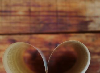 South Perth Library Secrets: Why Locals Absolutely Love It