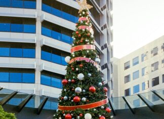 Supanova Perth Secrets Revealed: Why Fans Can’t Miss This Event