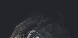 Seabreeze Perth: Discover The Ultimate Coastal Escape Experience