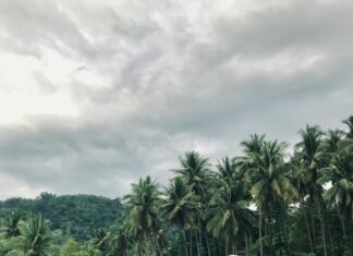 Perth Accommodation Secrets: Discover The Ultimate Stay Experience