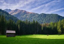 Weather In Perth 10 Days: What Surprising Changes Should You Expect?