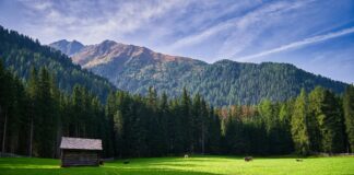 Weather In Perth 10 Days: What Surprising Changes Should You Expect?