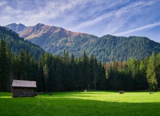 Weather In Perth 10 Days: What Surprising Changes Should You Expect?