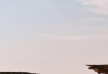 Hotels Perth: Discover The Ultimate Stays For Unforgettable Comfort