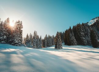 Adelaide Strikers Vs Perth Scorchers: Who Will Dominate The Clash?