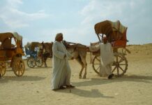 Tv Guide Perth: Discover The Ultimate Local Viewing Experience Today