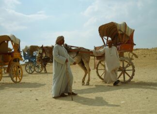 Tv Guide Perth: Discover The Ultimate Local Viewing Experience Today