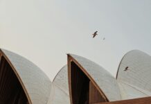 Perth To Sydney Flights: Discover The Best Deals And Insider Tips