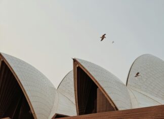 Perth To Sydney Flights: Discover The Best Deals And Insider Tips