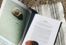 Study Perth: Why It’s The Ultimate Choice For Your Education Journey