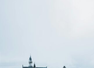 Royal Show Perth: Discover Exciting Attractions and Hidden Gems