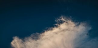 Weather Perth WA: Discover What Makes Its Climate Truly Unique