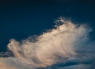 Weather Perth WA: Discover What Makes Its Climate Truly Unique