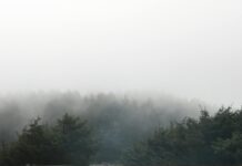 Weather Perth: Discover Surprising Facts And Hidden Weather Secrets