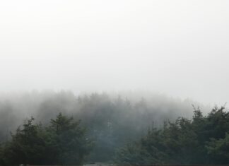 Weather Perth: Discover Surprising Facts And Hidden Weather Secrets